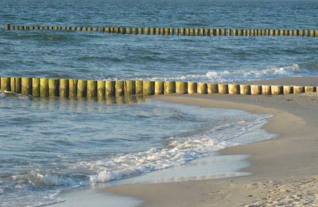 Ostseefalter, Deutschland