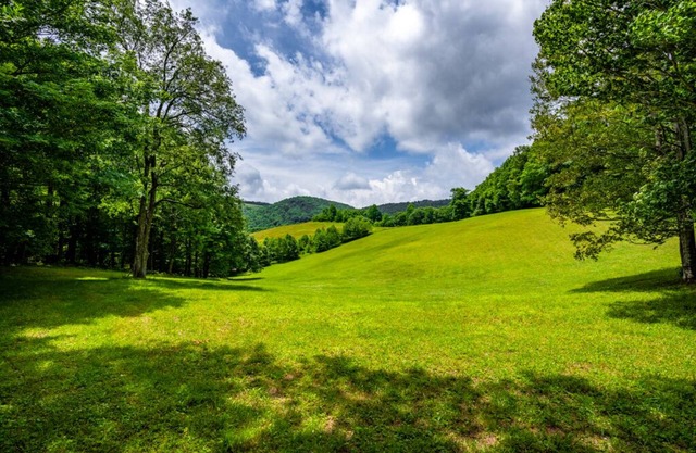 Our Mountain Getaway Very Private Pet Friendly