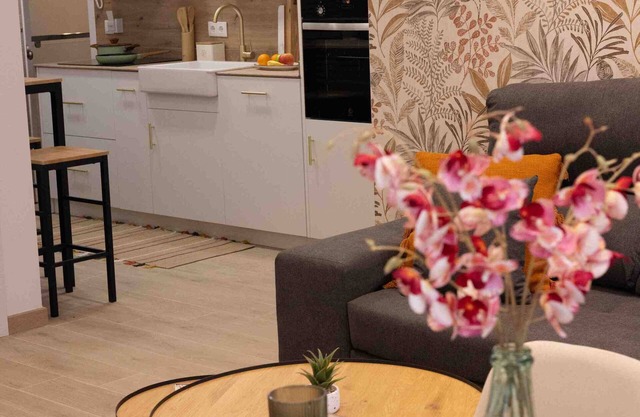 OURENSE THERMAL ROAD. TOURIST APARTMENTS 1