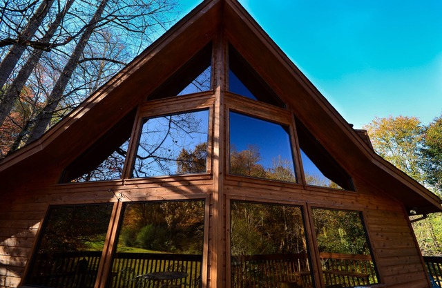 Owl’s Hoot Chalet – 3 mi from Great Smoky Mtns - July and August dates available