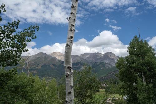 Palisade at Pine Meadows by Exceptional Stays