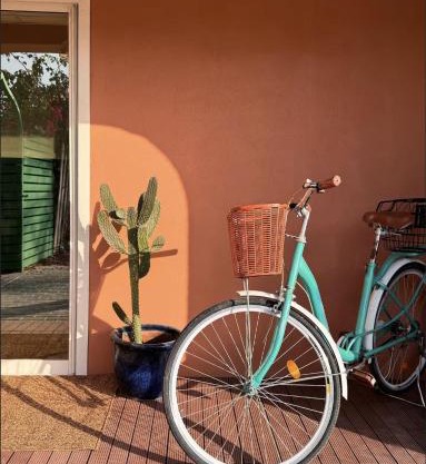 Palm Oasis Guest House