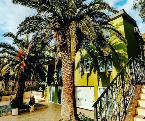 Palm Point Apartment