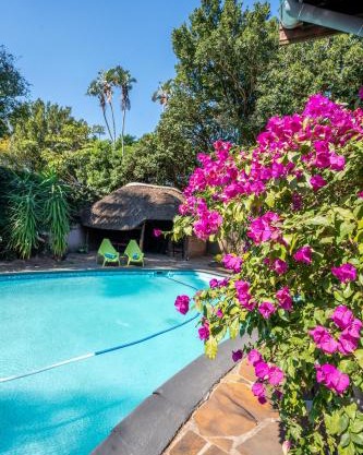Palm Tree Manor