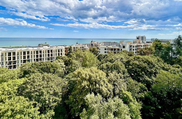 Palma Hotel