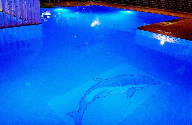 Palmen Apart Hotel