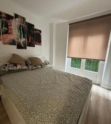 Pamplona Home