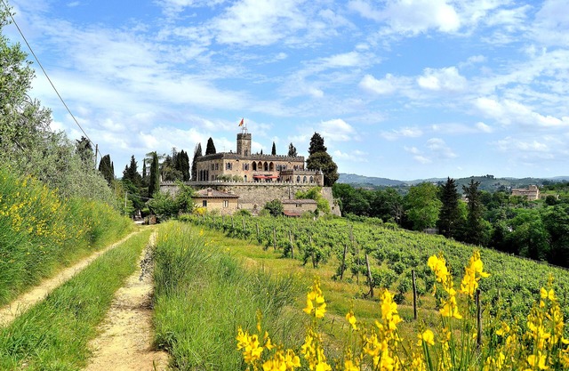 Panoramic castle with large pool on the walls. Ideal for weddings and events