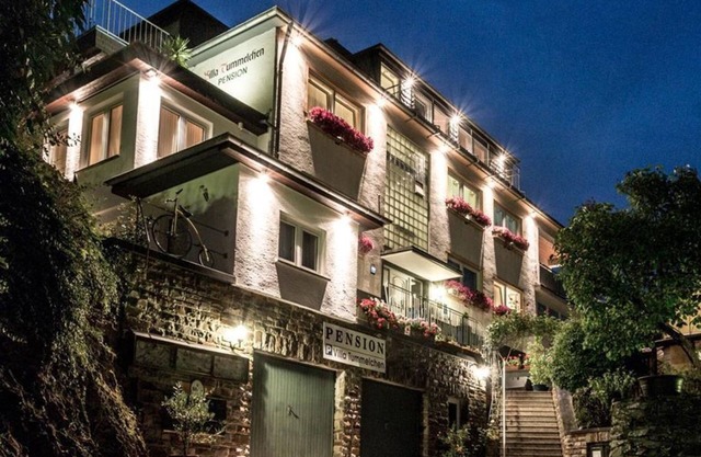 Panoramic room/balcony/castle/Moselle - Villa Tummelchen, Hotel-Pension garni