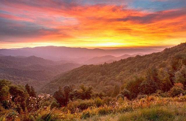Panoramic & Unparalleled Blue Ridge Mountain Views!