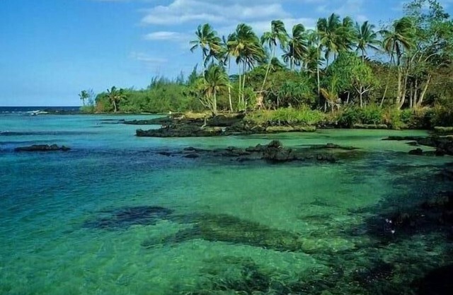 Paradise On a Budget!