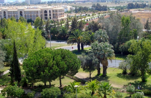 Parque das Amendoeiras