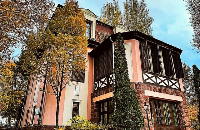 Party Villa Holiday Rent Balatonfoldvar