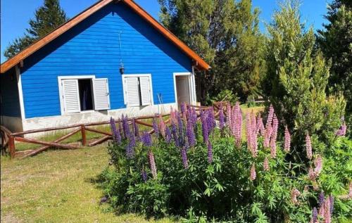 Patagonian Cabin