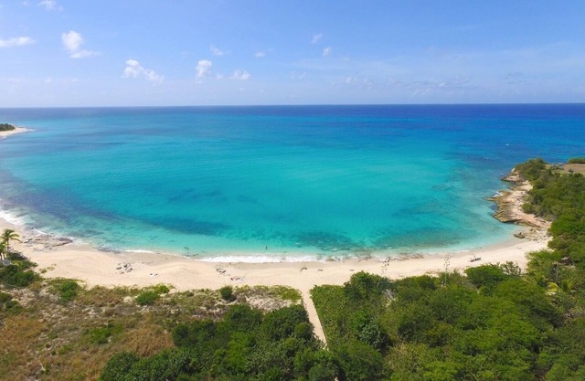 Petit Citron Vert, Terres Basses St Martin FWI