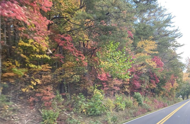 Peace and Beauty - Cabin with spectacular view of the NC Smokies!