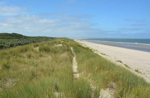 Peaceful Family Getaway w/Dining - nearby Local Attractions, Beach Escape