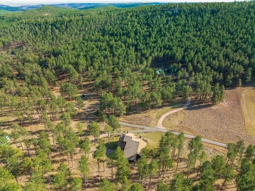 Peaceful Pines