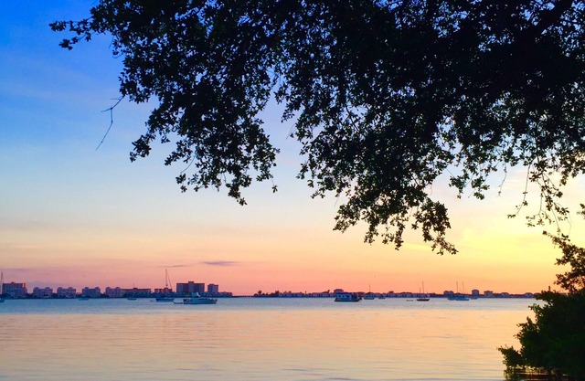 Peaceful Waterfront Cottage, Steps to Gulfport! Old Oaks Tall Pines Lush Yard.