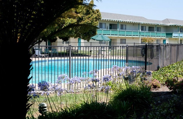 Perfect Getaway! Beautiful Unit, Free Parking, Close to Oakland Coliseum!