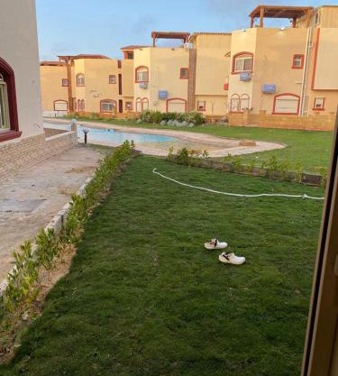 Perlla marina