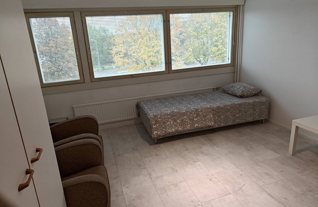Pet-friendly 4 Bed Apt in Turku with Park views