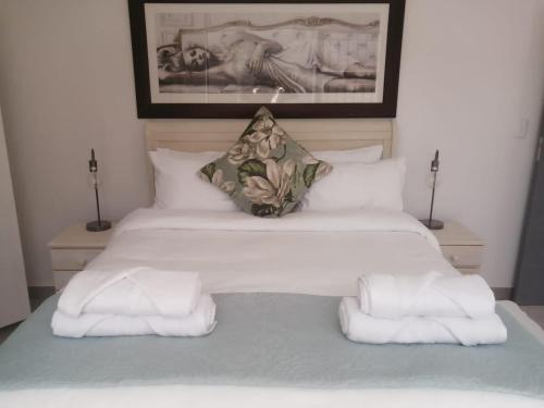 Pet Friendly Bartholomeus Diaz beach