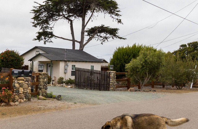 Pet Friendly Cottage
