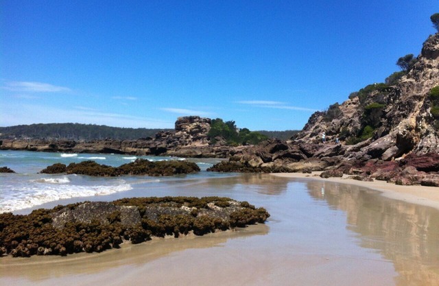Pet-friendly, five tranquil acres near Pambula Beach overlooking the Lake.