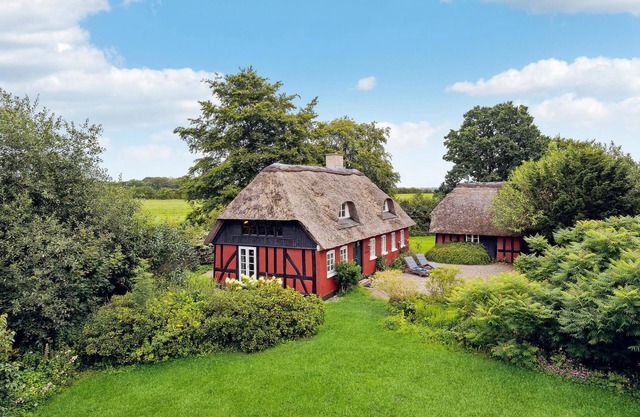 Pet friendly home in Vejle with kitchen