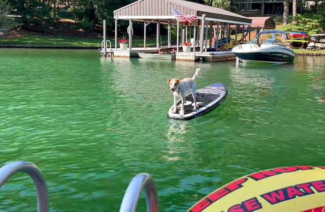 Pet Friendly home with enclosed yard, hot tub, Kayaks and SUPs