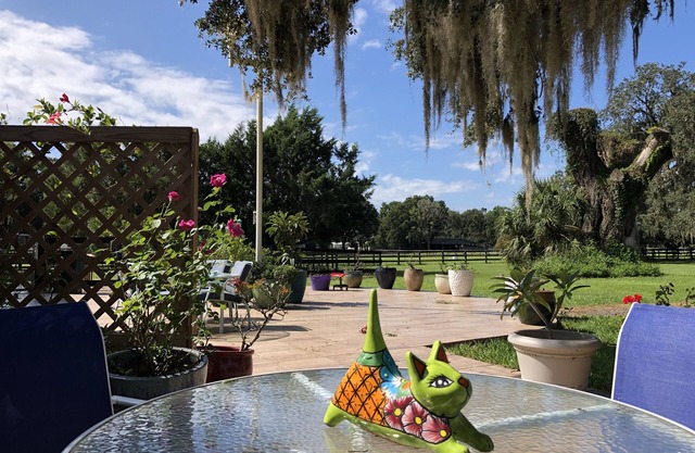 Pet friendly Large Apt on Horse Farm w/ level 2 EV Charger.