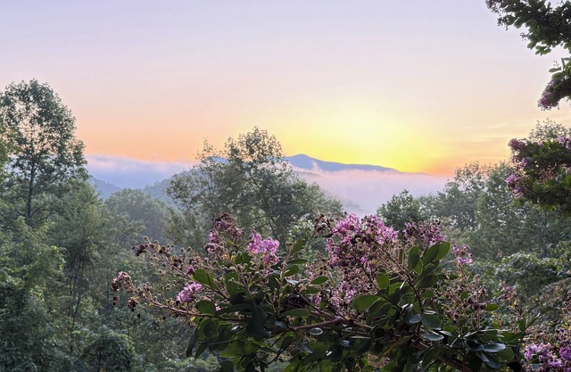 Pet friendly private Charming Bear cabin where cozy meets luxury. Mountain views
