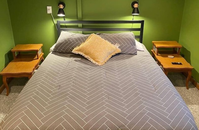 Pet-Friendly Queen Bedroom in Downtown Fargo