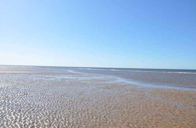 Pets go Free 3 Bedroom Caravan at Heacham Beach