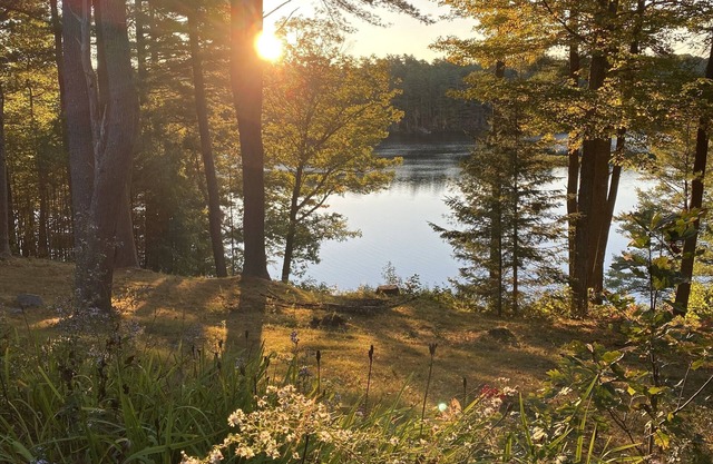 Picturesque Lakefront Log Home with Private Dock - Close to everything!