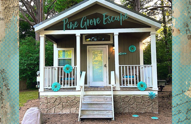 Pine Grove Escape ! 🌲