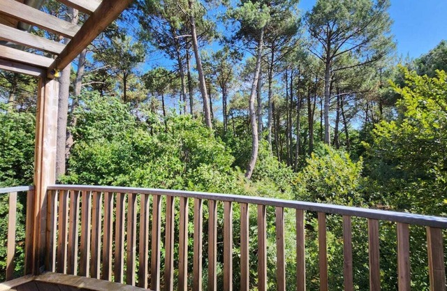 Pins et marée" apartment, where the forest meets the ocean. Bassin d'Arcachon.