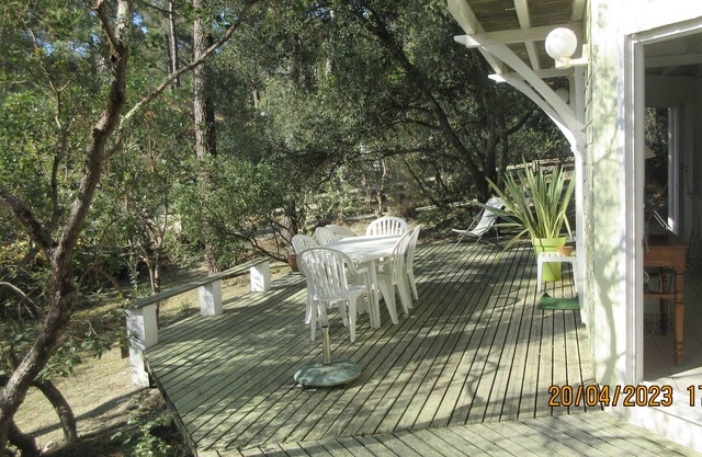 Pleasant chalet between lake, forest and ocean.