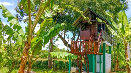 Pride Rock Villa & Tree House