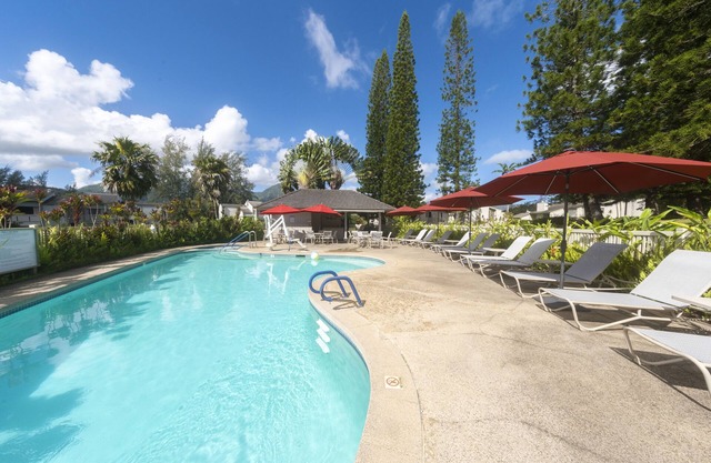 Prime Location! 4 Comfortable Units, Free Parking, Outdoor Pool!