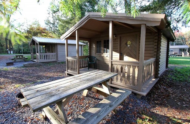 Primitive Cabin PC2
