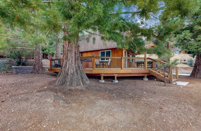 Primrose Cabin #709