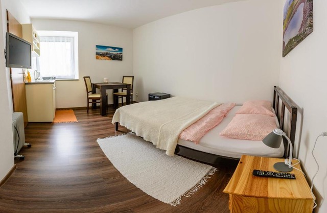 Privat Mlynica