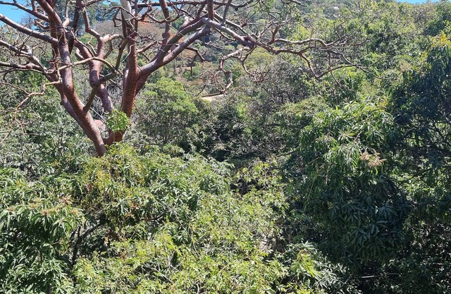 Private 2 Bedroom Condo, Surrounded by Nature
