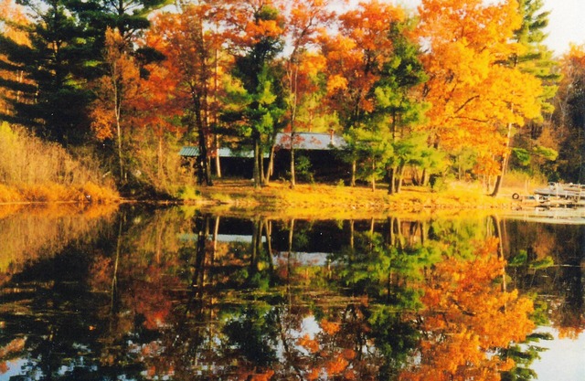 Private Cabin On Quiet Bay Of Round Lake