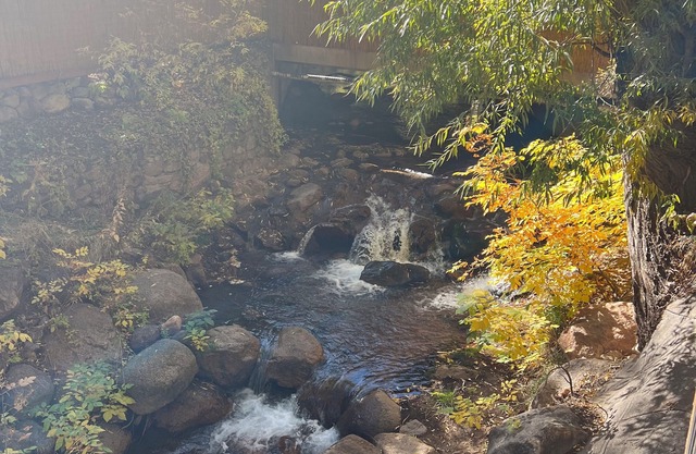 Private Deck on the Creek! Water falls! 5 min walk to the Broadmoor