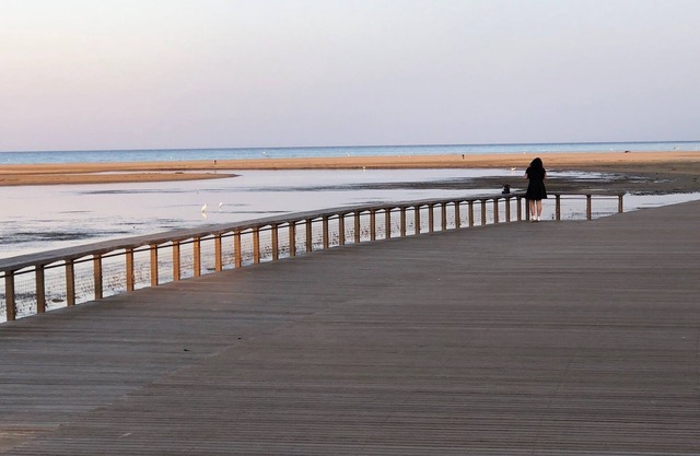 Private Villa in beautiful Corbières amongst Vineyards, only 15 miles to beaches