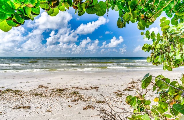 Private Island Escape