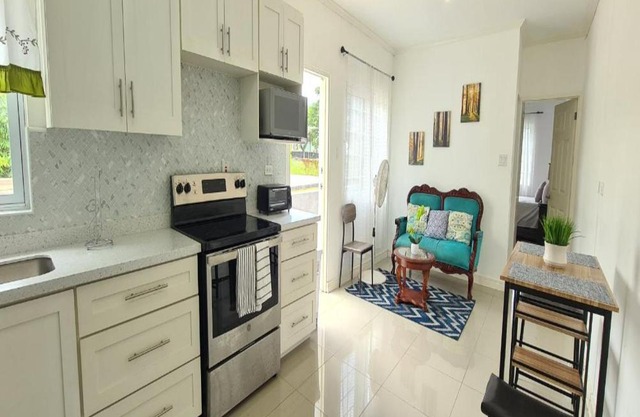 Private Modern Apartment in the Kingston City